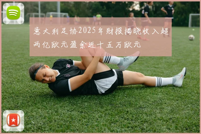 意大利足协2025年财报揭晓收入超两亿欧元盈余近十五万欧元